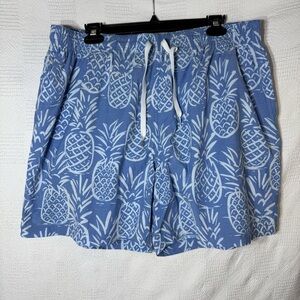 Chubbies‎ Swim Trunks XXL Pineapples Blue White Thigh Napples Mesh Lined